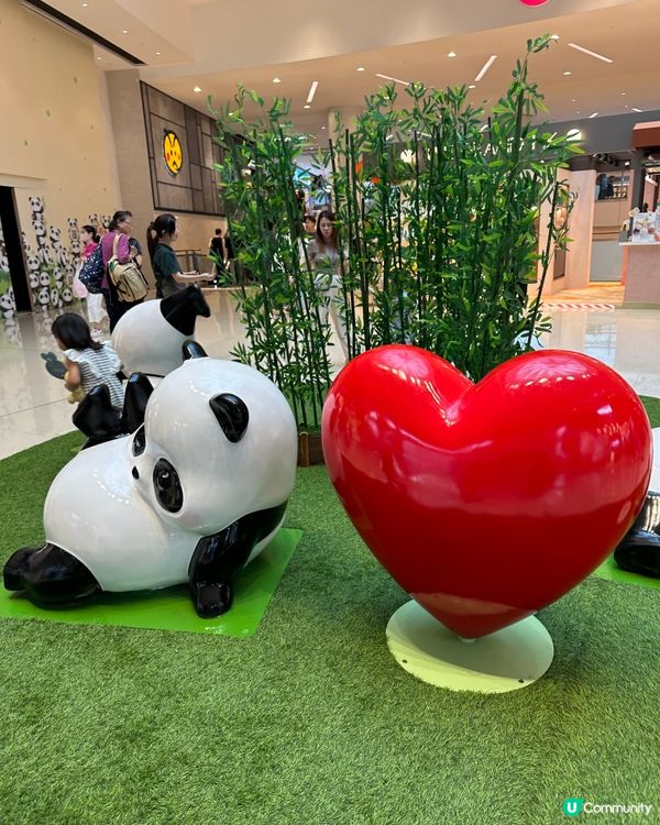 近來好Hit嘅熊貓🐼@奧海城🤩