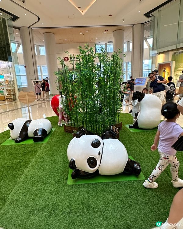 近來好Hit嘅熊貓🐼@奧海城🤩