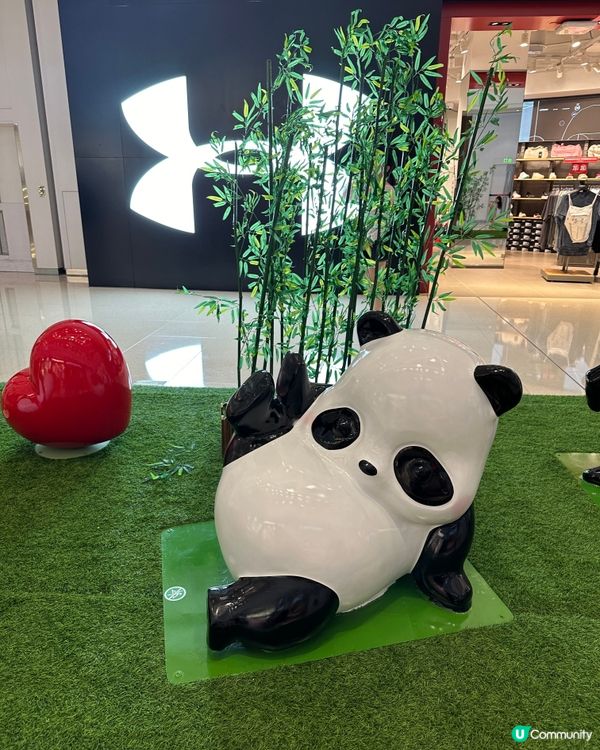 近來好Hit嘅熊貓🐼@奧海城🤩