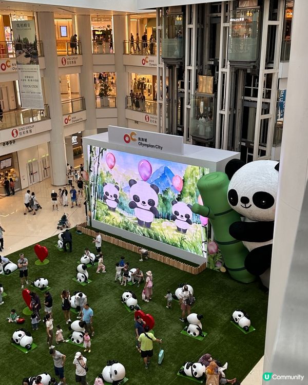 近來好Hit嘅熊貓🐼@奧海城🤩