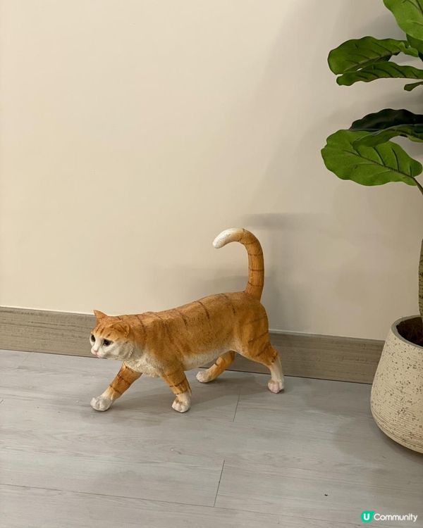 🌟隱藏觀塘商廈中的全方位美容店