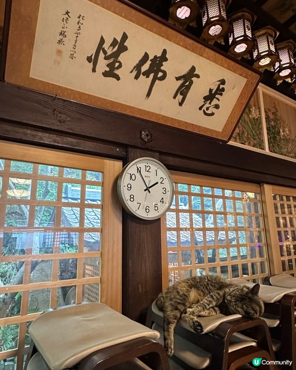 如意輪寺：🐸🐸蛙的奇幻世界