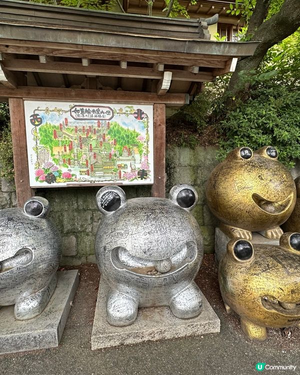 如意輪寺：🐸🐸蛙的奇幻世界