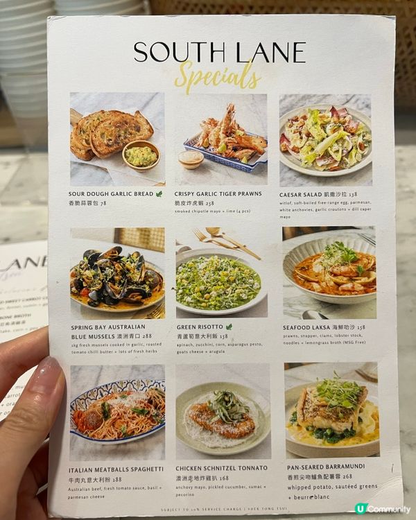 「 西環 • South Lane🍴 」