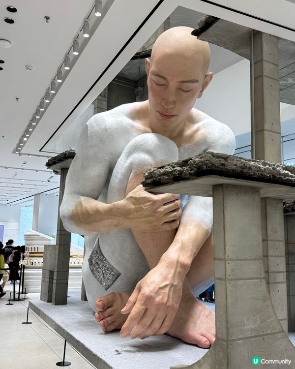 Haus Nowhere 深圳巨人打卡點