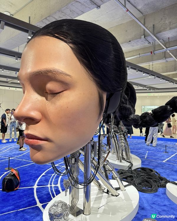 Haus Nowhere 深圳巨人打卡點