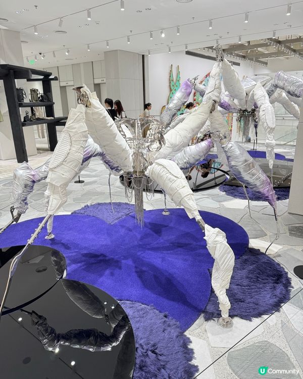 Haus Nowhere 深圳巨人打卡點