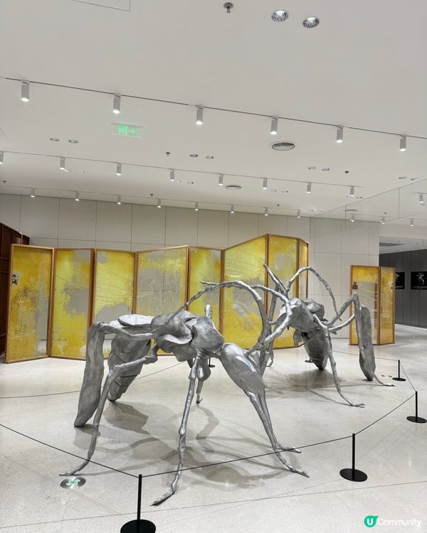 Haus Nowhere 深圳巨人打卡點