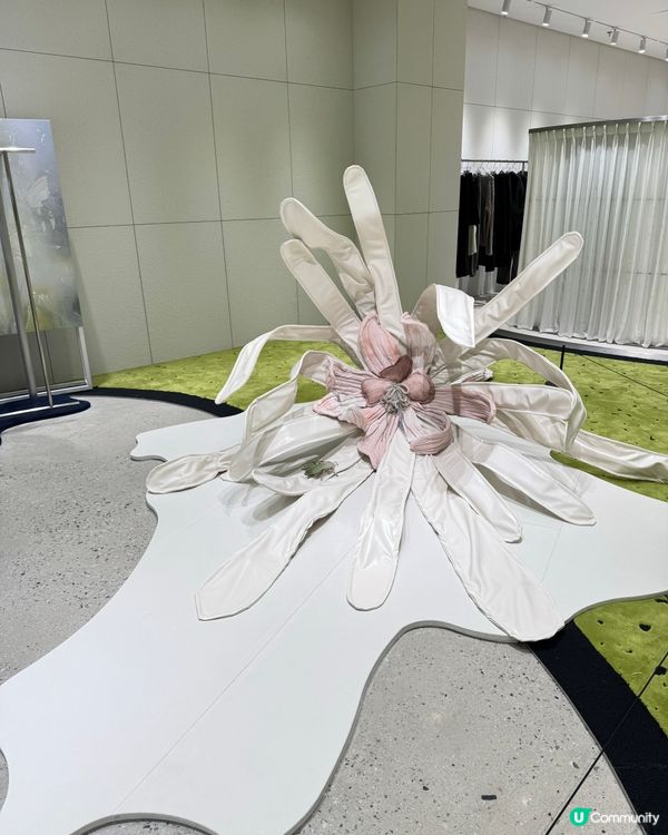 Haus Nowhere 深圳巨人打卡點