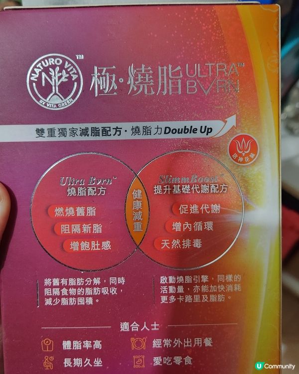 減肥新推介極消脂