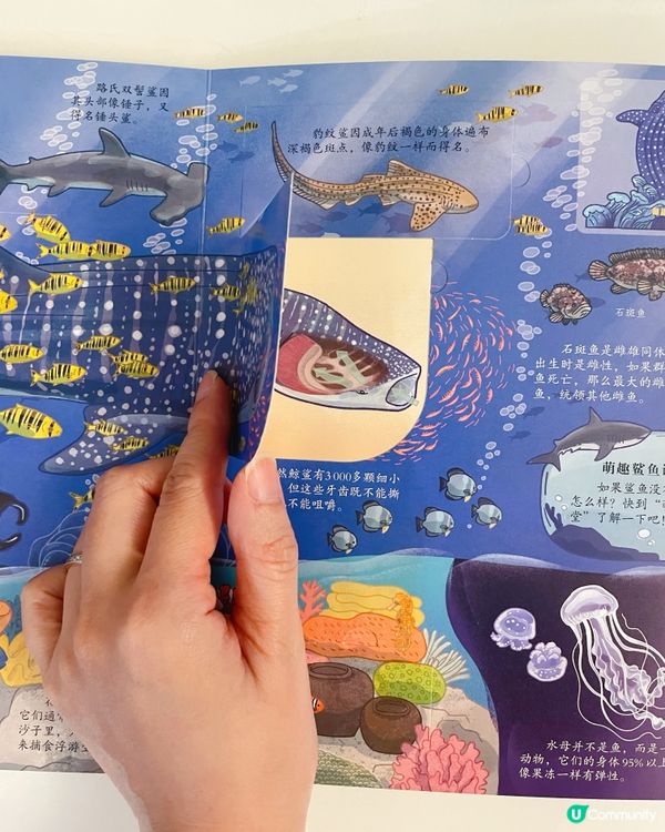 珠海長隆企鵝酒店隱藏福利大公開！輕鬆拿禮物+房型升級最齊攻略