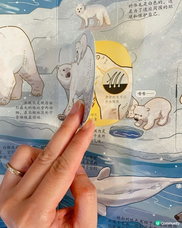 珠海長隆企鵝酒店隱藏福利大公開！輕鬆拿禮物+房型升級最齊攻略