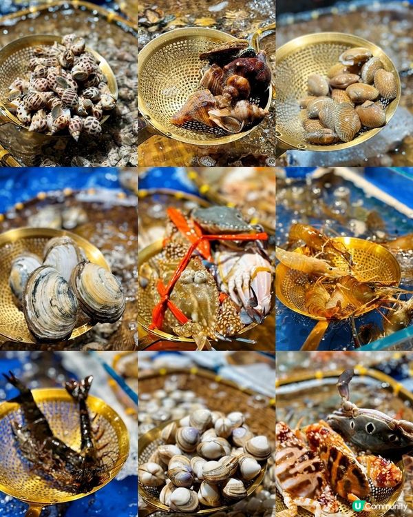 😍 自己夾海鮮! 深圳首家純蒸氣海鮮自助餐