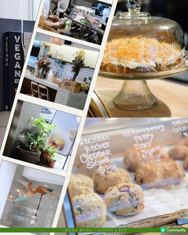 香港大學附近🤎健康輕食新寵🌿