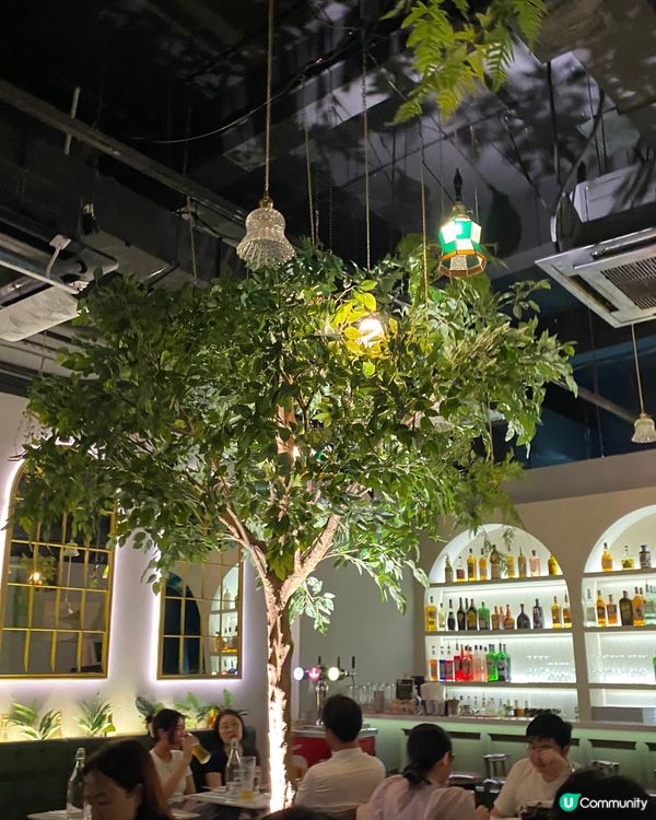 隱世高CP歐陸菜