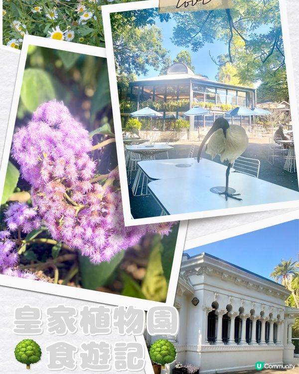 皇家植物園🌿，自然愛好者必去！