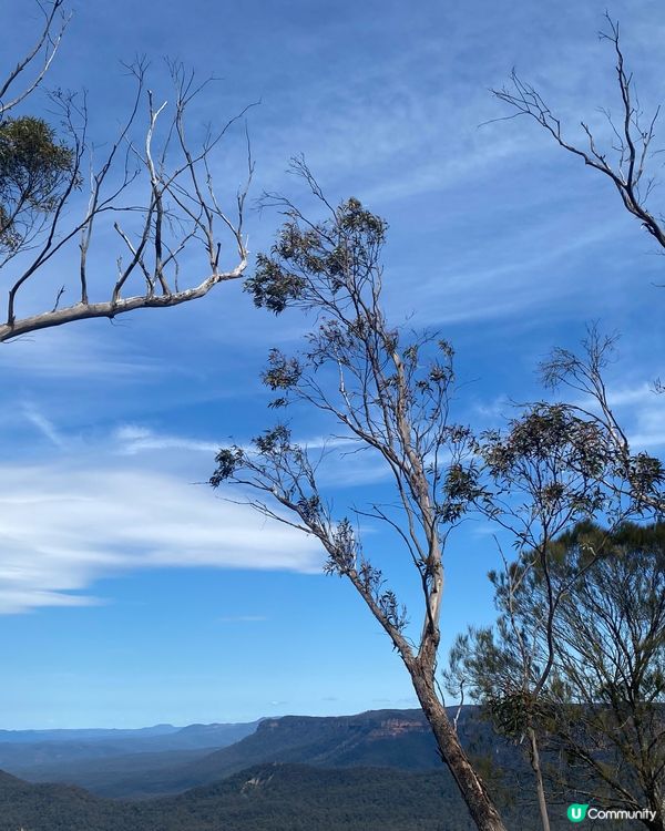 悉尼藍山⛰️ 絕美山城之旅 🚗