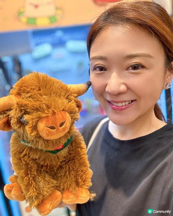 秋涼最好就係打邊爐 #打邊爐恩物