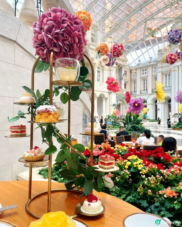 平嘆5星級酒店下午茶 🍰☕️  澳門美高梅