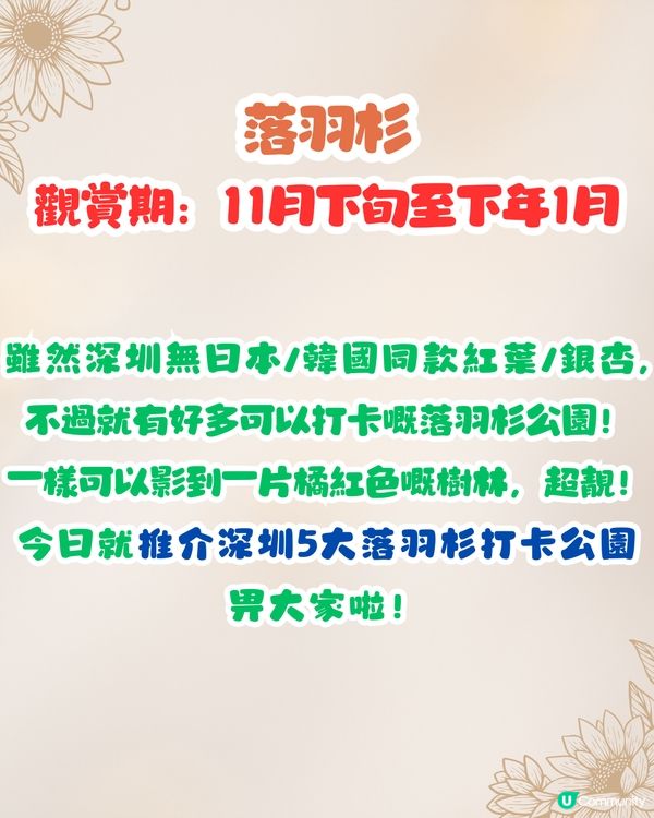 深圳秋日落羽杉地圖🗺️必打卡5大推介‼️超靚湖景/寫意cafe☕️