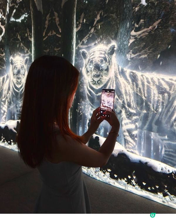 ✨感受Xiaomi 14T Series無限可能