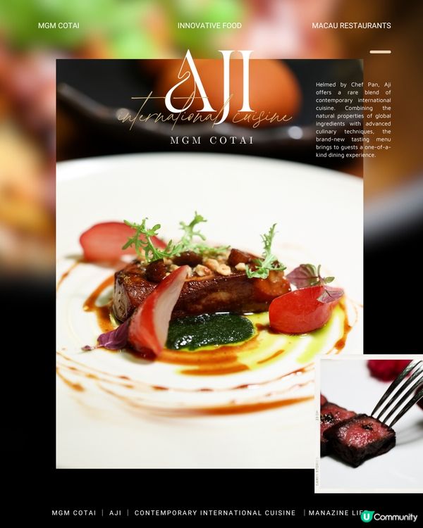 澳門美獅美高梅｜雅吉❤️