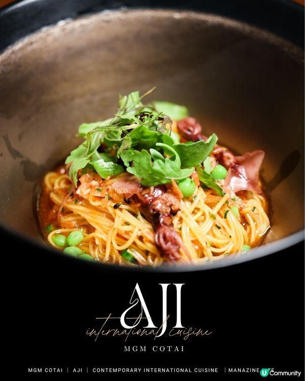 澳門美獅美高梅｜雅吉❤️