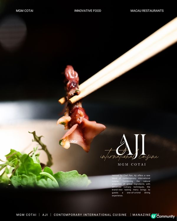 澳門美獅美高梅｜雅吉❤️