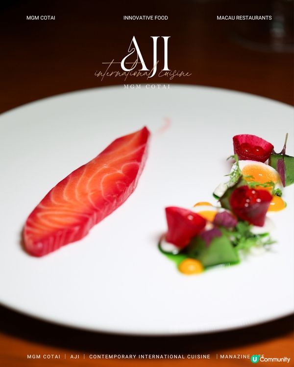 澳門美獅美高梅｜雅吉❤️