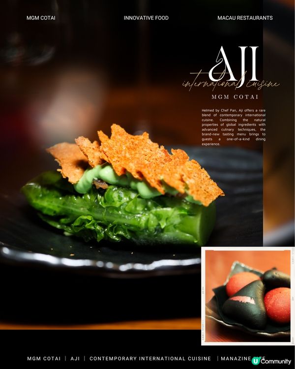 澳門美獅美高梅｜雅吉❤️