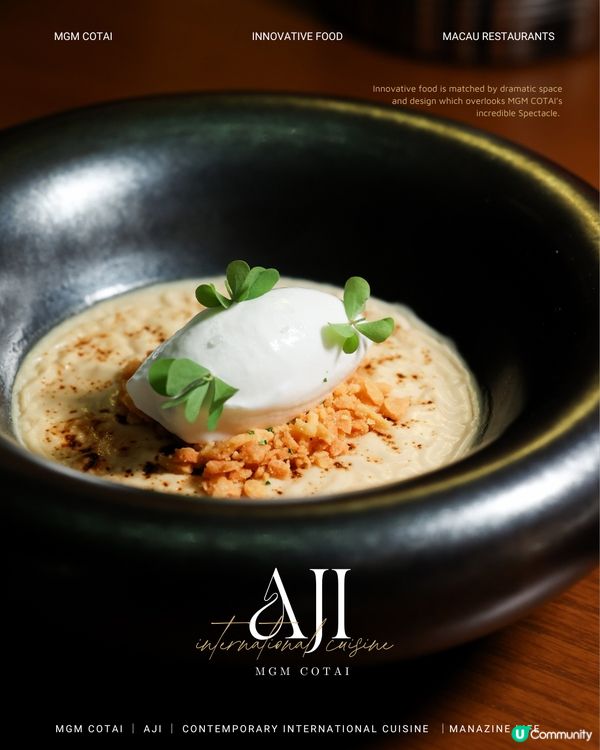 澳門美獅美高梅｜雅吉❤️