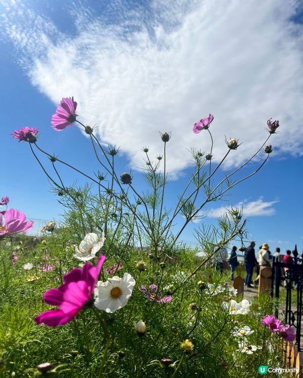 Shiwei Glamour Mingzhan Touris...