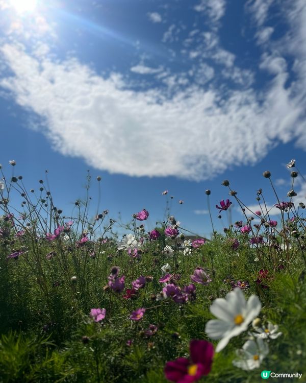 Shiwei Glamour Mingzhan Touris...