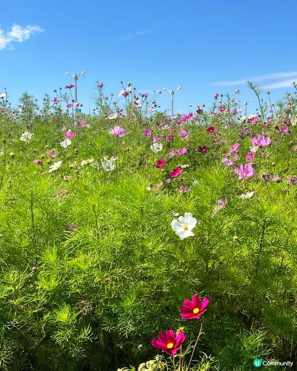 Shiwei Glamour Mingzhan Touris...