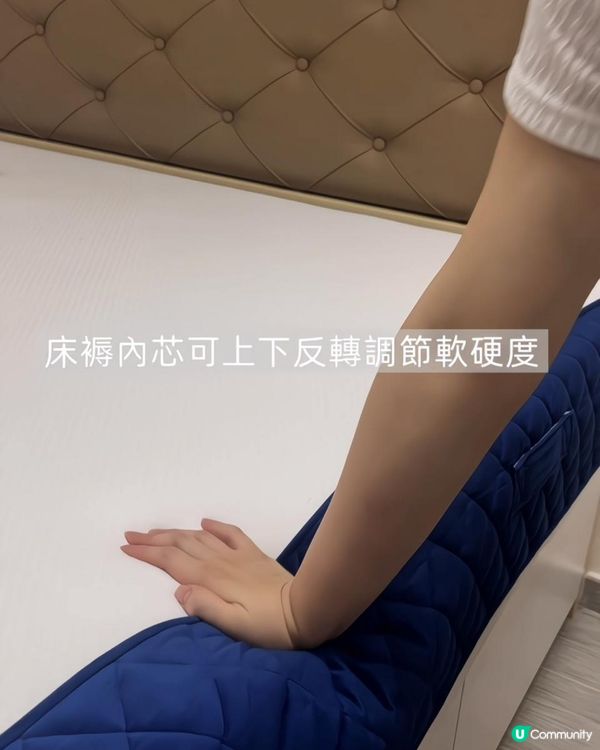 Skyler Luxe乳膠記憶棉床褥！