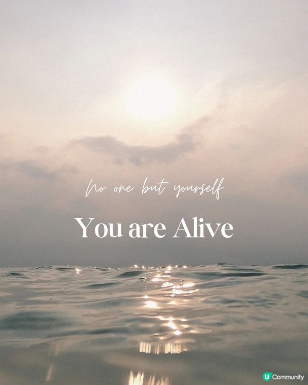 接受一切，一切可期 ✨️✨️