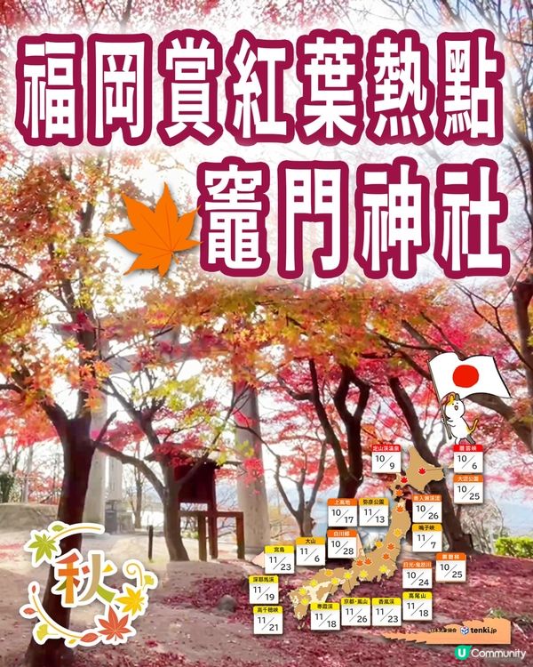 2024年🇯🇵追楓🍁福岡賞紅葉秘點🎯