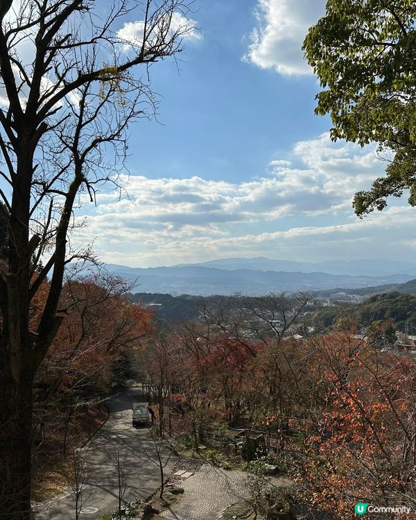 2024年🇯🇵追楓🍁福岡賞紅葉秘點🎯