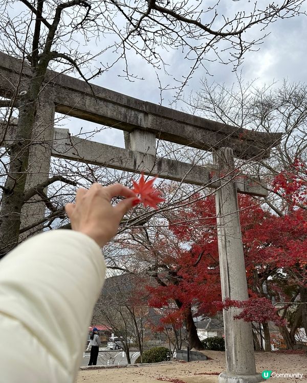 2024年🇯🇵追楓🍁福岡賞紅葉秘點🎯