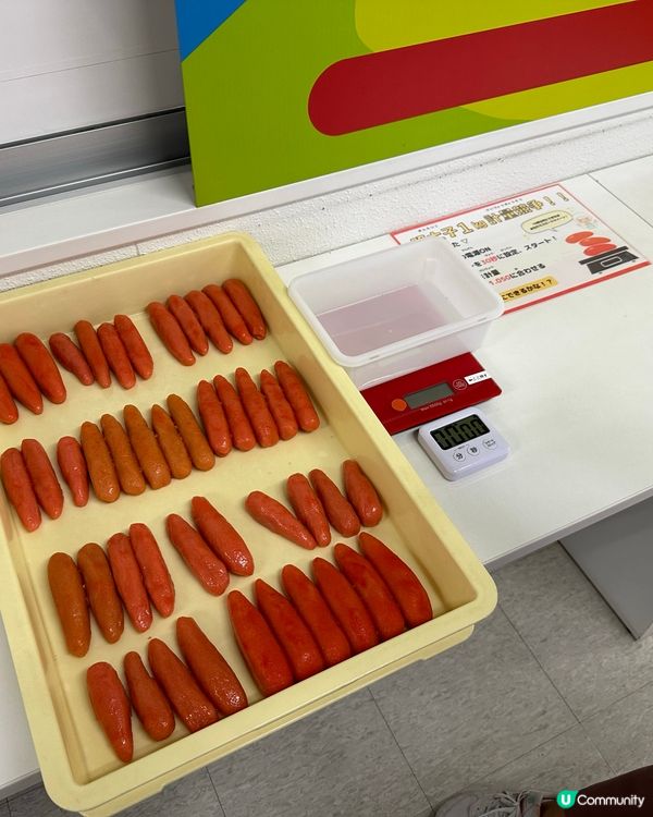 🥳博多飲食與文化博物館HAKUHAKU明太子工場見學🫶🏻