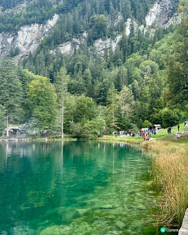 山卡啦㊙️遊 瑞士Switzerland-藍湖Blausee