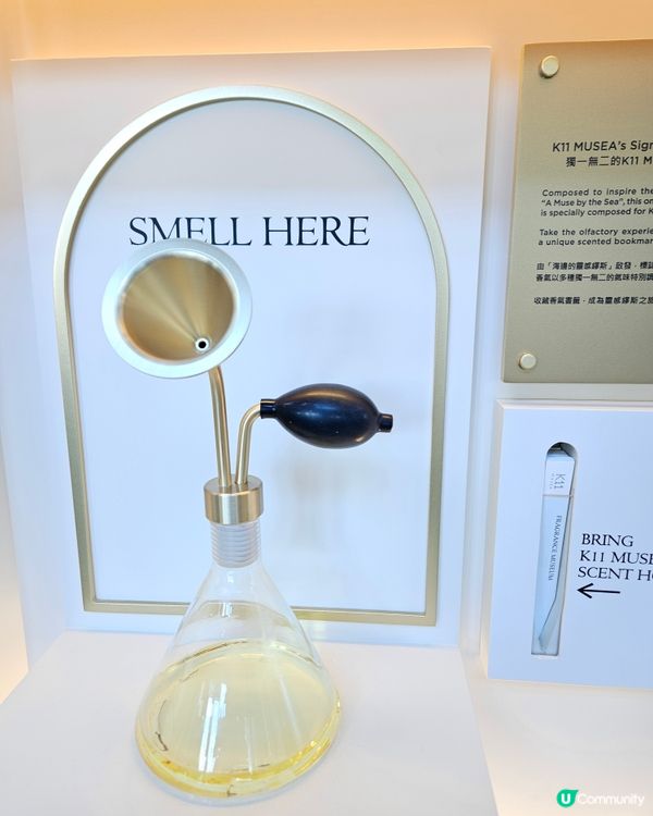 Scent tour 香水團