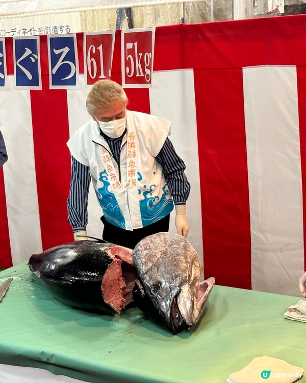 🐟福岡都有築地？美味漁獲私房去處「長浜鮮魚市場」