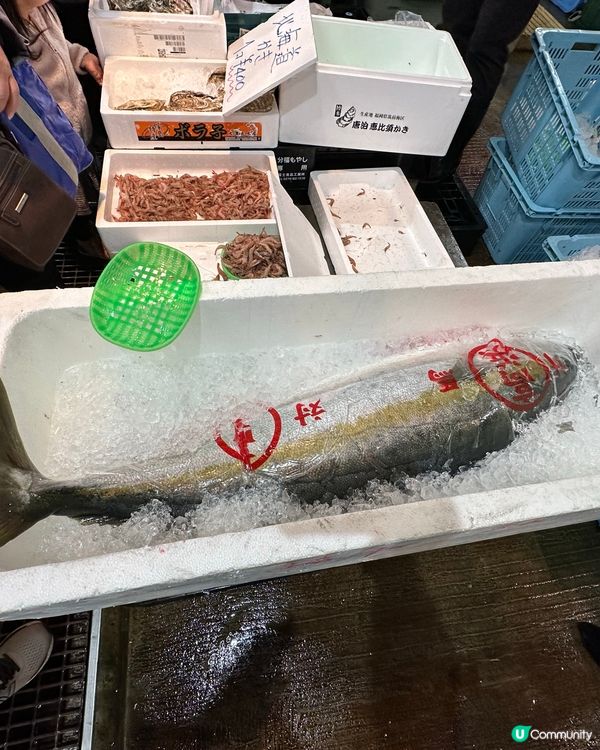 🐟福岡都有築地？美味漁獲私房去處「長浜鮮魚市場」