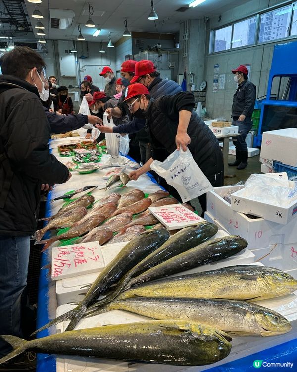 🐟福岡都有築地？美味漁獲私房去處「長浜鮮魚市場」