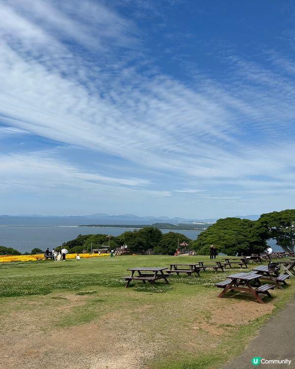 🌸福岡能古島——來一場放空、放鬆的療癒旅程吧🍵