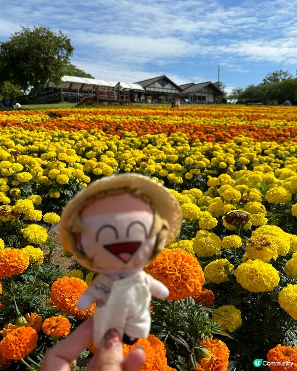 🌸福岡能古島——來一場放空、放鬆的療癒旅程吧🍵