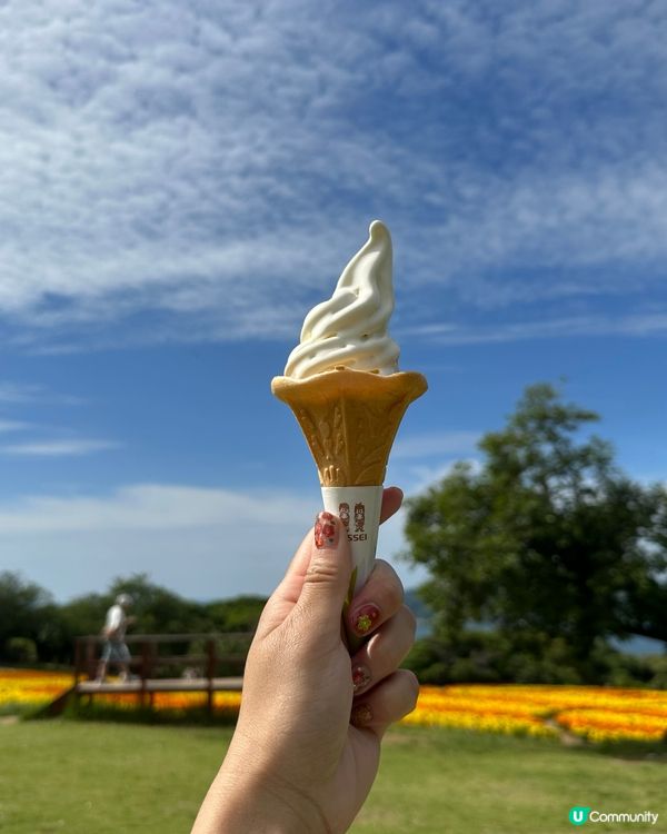 🌸福岡能古島——來一場放空、放鬆的療癒旅程吧🍵