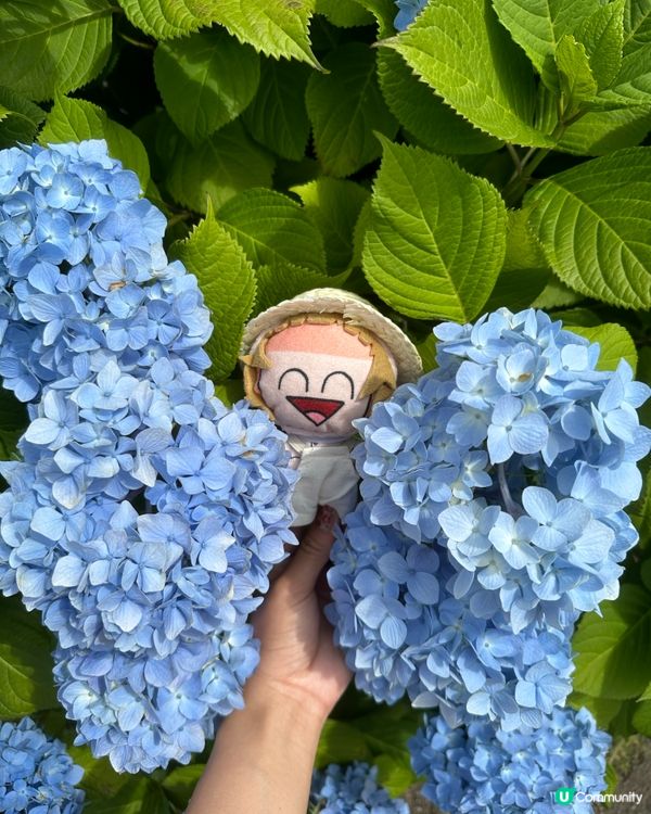 🌸福岡能古島——來一場放空、放鬆的療癒旅程吧🍵