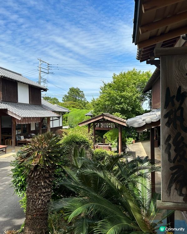 🌸福岡能古島——來一場放空、放鬆的療癒旅程吧🍵